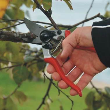 Baum-, Reb-, Gartenschere Felco 8