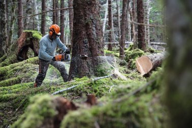 STIHL Benzin-Kettensäge MS 462 C-M, 50 cm