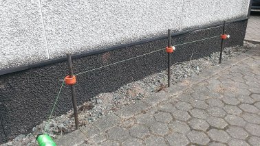 Probst Schnurhalter STRING ALONG SA