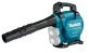 Makita Akku-Laubbläser und Laubsauger DUB363ZV