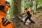 STIHL Benzin-Kettensäge MS 881, 63 cm