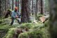 STIHL Benzin-Kettensäge MS 462 C-M, 45 cm