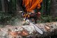 STIHL Benzin-Kettensäge MS 400 C-M, 45 cm