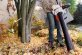 STIHL Benzin-Saughäcksler SH 56