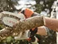 Stihl Akku-Gehölzschneider GTA 26