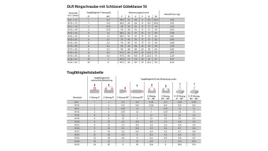 Ringschraube DLR Güteklasse 10 Tragfähigkeit 750 kg