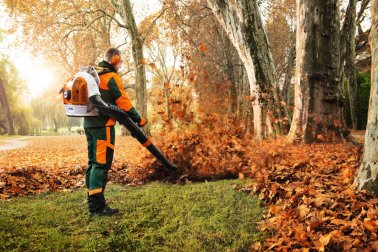 STIHL Benzin-Laubbläser BR 700