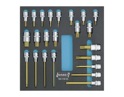 HAZET Werkzeugmodul Schraubendreher-Einsatz 6-kant 163-119/23