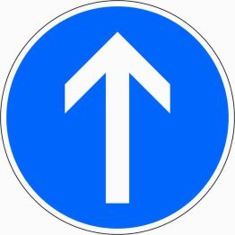 Verkehrszeichen VZ 209-30 Vorgeschriebene Fahrtrichtung geradeaus