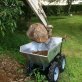 Muck-Truck Dumper Max II mit Transportplattform