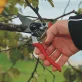 Baum-, Reb-, Gartenschere Felco 8